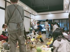 -逗柴咖啡屋·狗咖猫咖宠物桌游