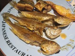 烤黄花鱼-松子料理(白家庄店)