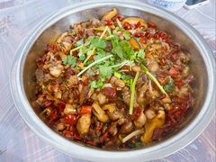 -食神又名厕所兔