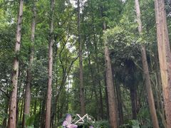 -上海滨江森林公园