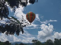-中国科学院西双版纳热带植物园