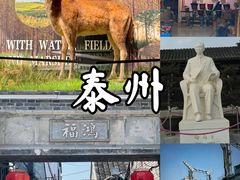 -溱湖国家湿地公园