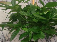 -卞氏菜根香(航空路旗舰店)