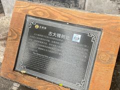 -大槐树寻根祭祖园