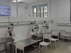 -中国农业大学动物医院