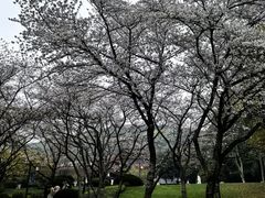 -中国茶叶博物馆(双峰馆区)