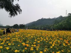 -顺峰山公园