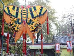 环境-白家大院·王府宫廷菜(苏州街店)