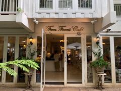 -Fern Forest Cafe
