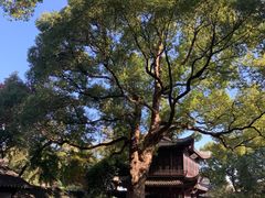 -惠山古镇·寄畅园