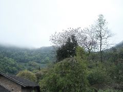 -铜锣山矿山公园