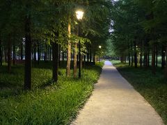 -上海山野camping·户外天幕烧烤·团建拓展营地