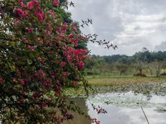 -中国科学院西双版纳热带植物园