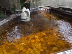 -杭州第一世界大酒店·云曼温泉