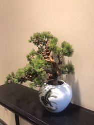 -盘子女人坊古装写真摄影(天津总店)