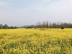 -蜀绣公园