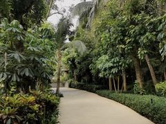 -三亚湾海居铂尔曼度假酒店