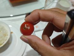 -潇湘甲鱼村(清河店)