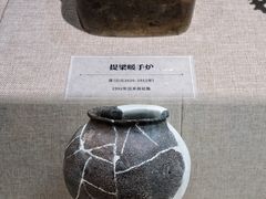 -巴音郭楞蒙古自治州博物馆