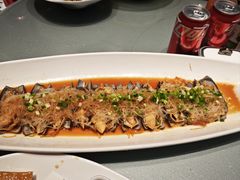 -一麦·龙岛(上海青浦店)