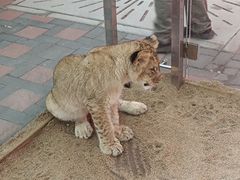 -北京野生动物园