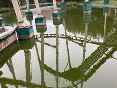 -郑州方特梦幻王国