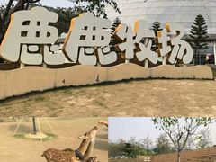 -盈香心动乐园