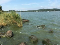 -上海市保健医疗中心(华东疗养院)
