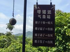 -呀诺达热带雨林
