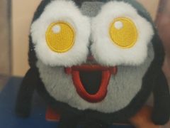 -济南奥林匹克体育中心体育场