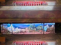 -三亚红色娘子军演艺公园景区