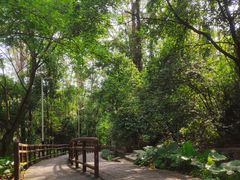 -水濂山森林公园