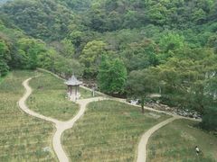 -广州市石门国家森林公园