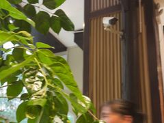 -福照楼汽锅鸡·云南菜(护国路店)