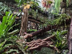 -正佳雨林生态植物园