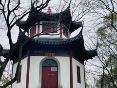 -上海佘山国家森林公园天马山园