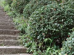 -南京市江宁方山