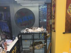 -谜盒子奇幻密室(南屏店)
