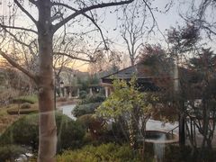 -青岛香根温泉酒店