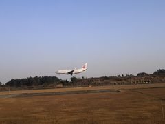 -空港花田景区