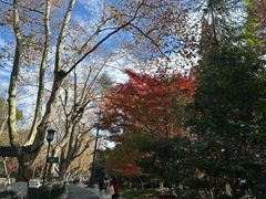 -岳王庙