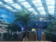 -青岛东方影都融创水世界