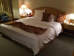 -南京维景国际大酒店(南京博物院店)