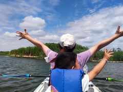 -春花秋色城市公园