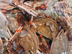 -天天渔港(杏林街店)