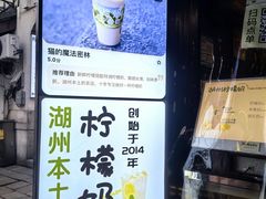 -猫的魔法密林(衣裳街店)
