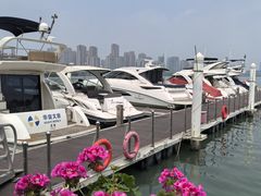 -金鸡湖景区