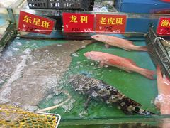 -吉莲利苑海鲜酒家(珠海拱北28年老字号店)