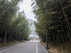 -都江堰中华大熊猫苑