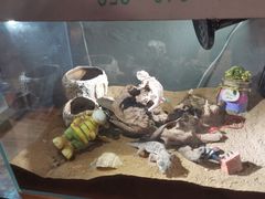 -么肆烤肉(蓝山名邸店)